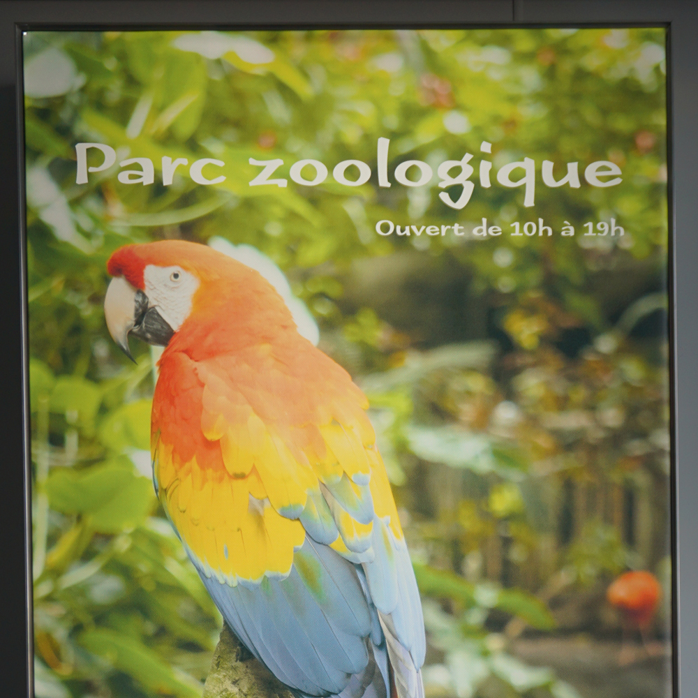 Enseigne Zoo zoom