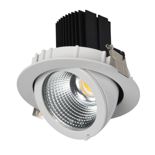 Spot encastrable downlight LED - Orientable